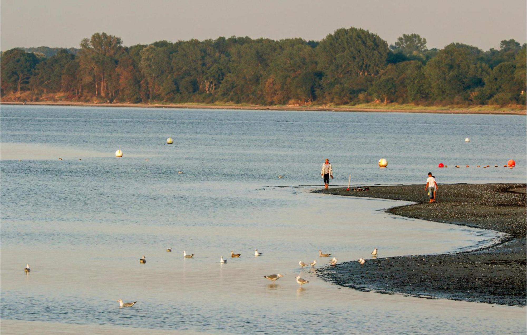 Schmugglerstieg 9A - Dorf 5 Lägenhet Lübeck Exteriör bild